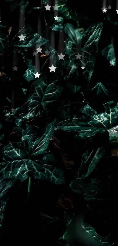 Dark green ivy leaves with starry accents create a moody mobile wallpaper aesthetic.