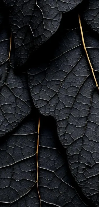 Dark leaf textured wallpaper with intricate patterns.