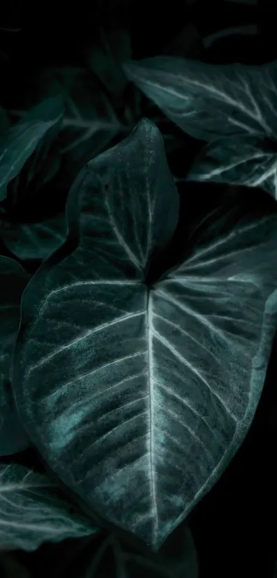 Dark green leafy mobile wallpaper, perfect for nature lovers.