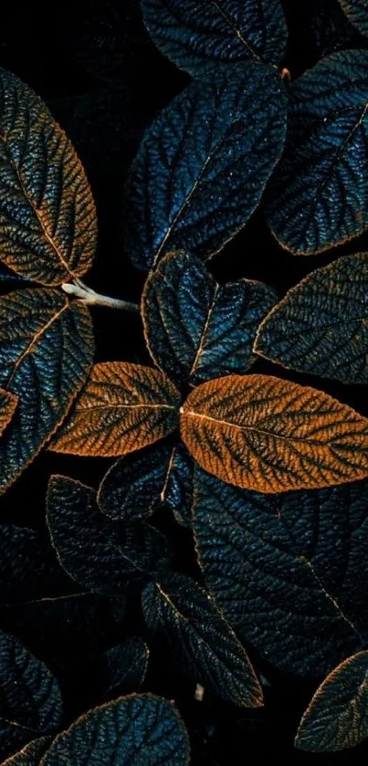 Dark blue and orange leaves wallpaper, stylish and modern background.