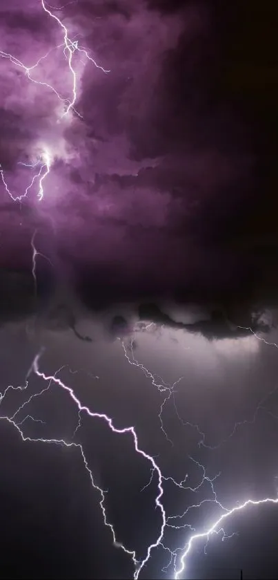 Dark sky with vibrant lightning bolts and purple clouds.