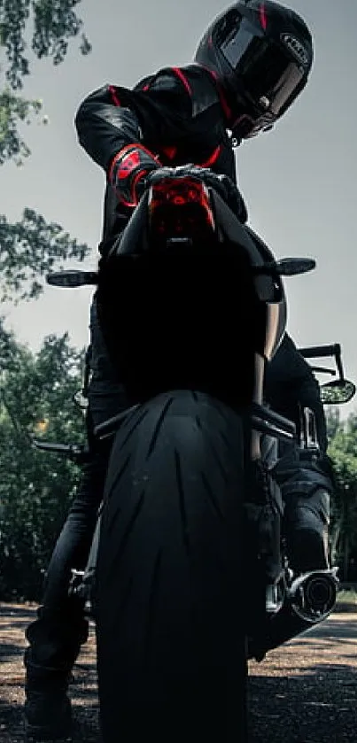 Motorcycle rider in black gear on sleek bike with a forest background.