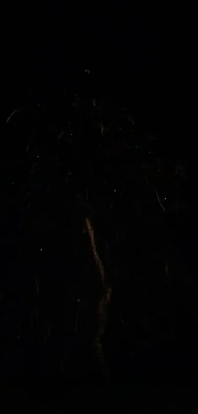 Dark night sky with subtle fireworks display.