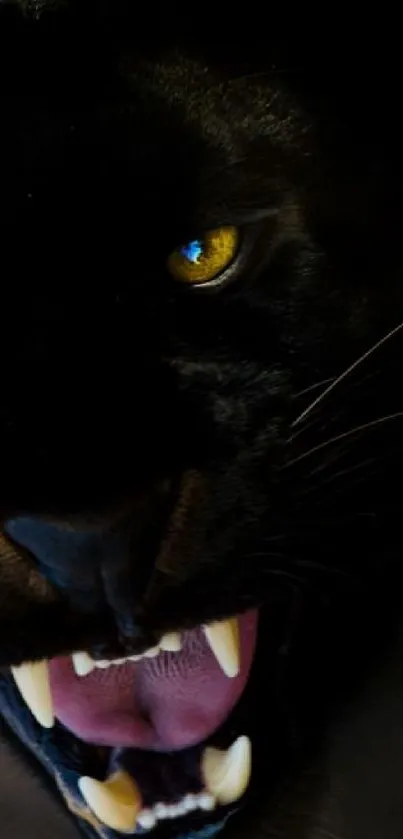 Close-up of a fierce dark panther with striking yellow eyes and sharp teeth.