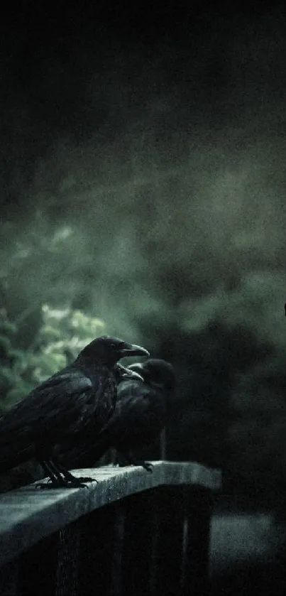 Dark ravens perched on a bridge in a mysterious forest setting.