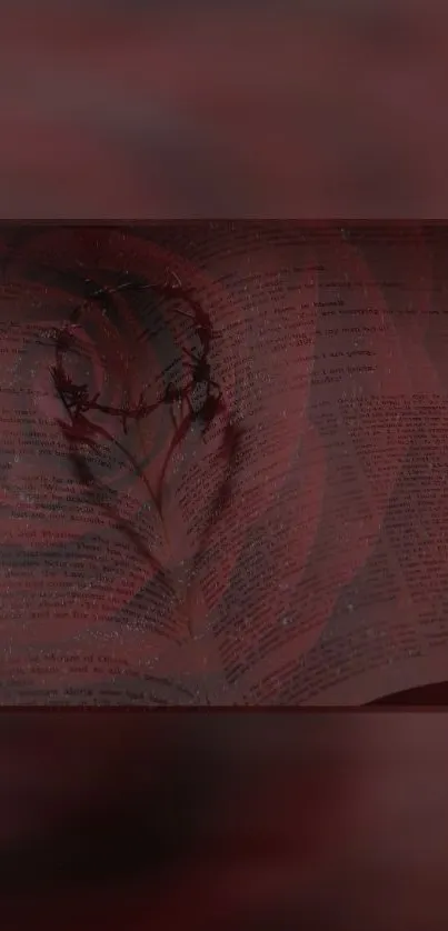 Dark red rose with text overlay in a moody atmosphere.