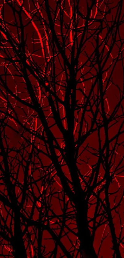 Silhouette of tree branches against a red background in dark-themed wallpaper.