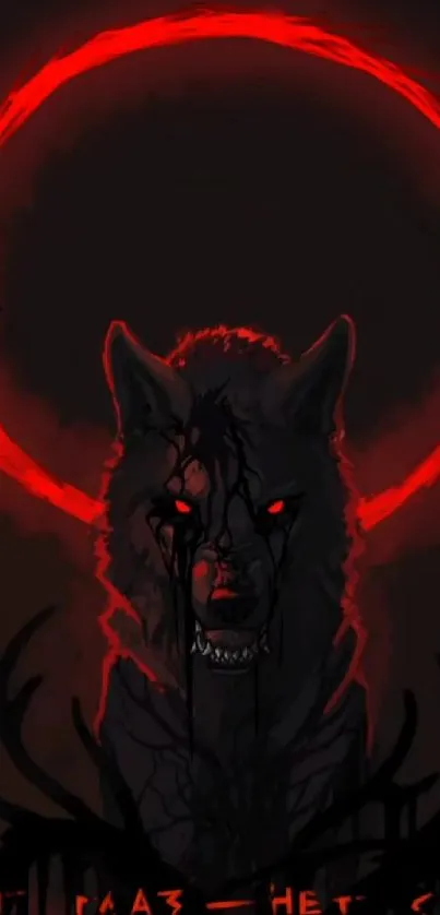 Dark red wolf wallpaper with bold, mystical theme.