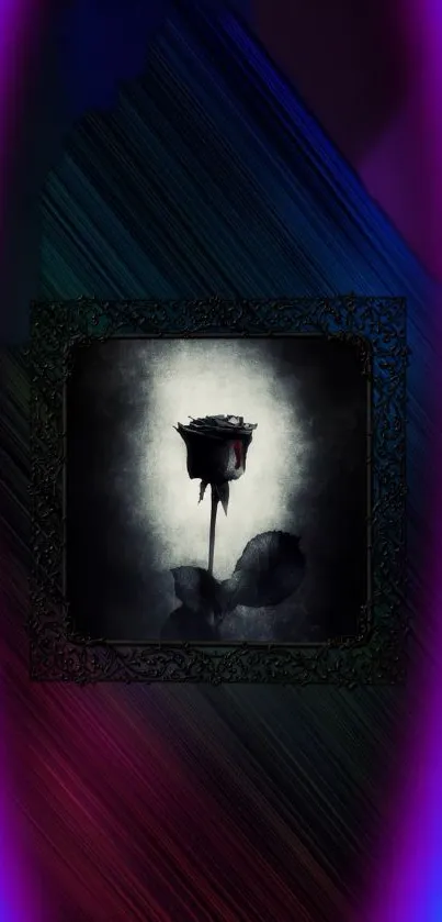 Black rose on a dark artistic wallpaper with vibrant color edges.