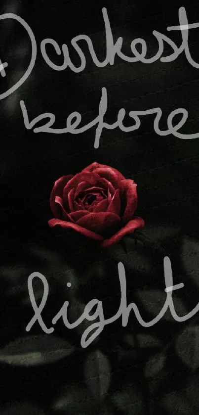 Red rose on dark background with inspiring text.