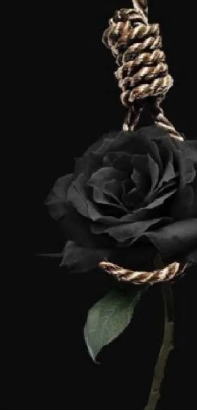 Minimalist black rose on dark background.