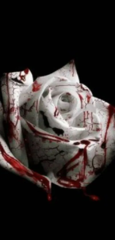 Dark-themed wallpaper with a white rose and red splatters on a black background.