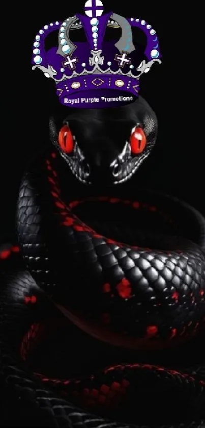 Majestic black snake with purple crown and red eyes on dark background.