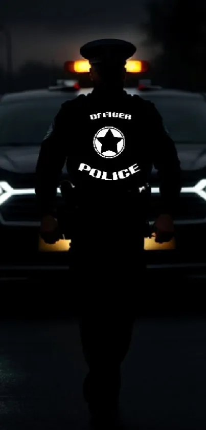 Silhouette of a police officer in front of a patrol car at night.