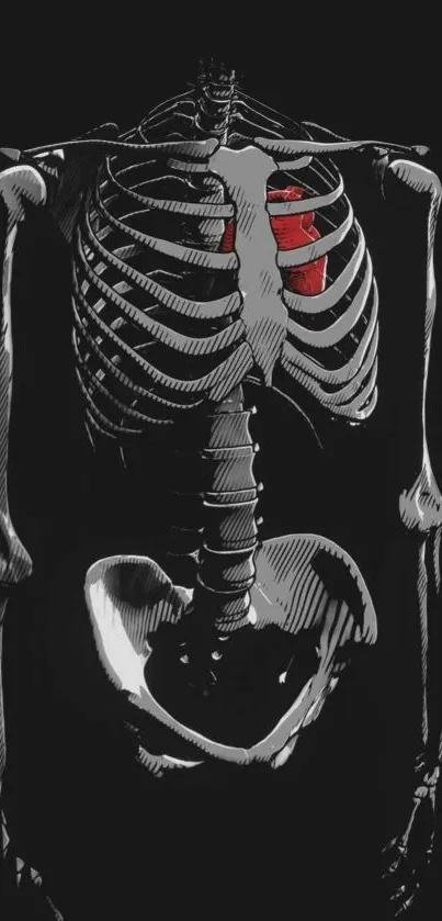 Intricate skeleton with a red heart on a dark background wallpaper.