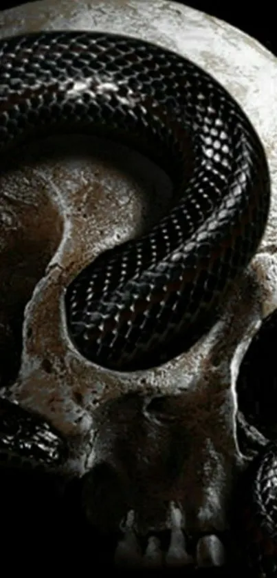 Dark skull with black snake mobile wallpaper.