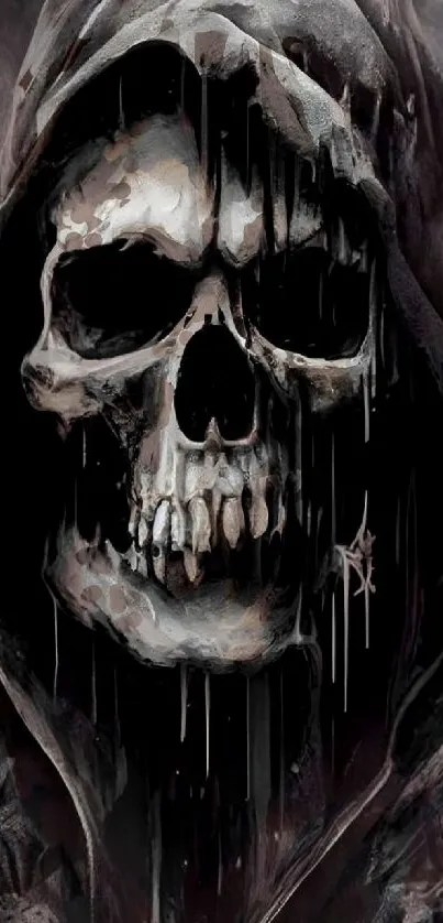 A dark, hooded skull in a gothic style wallpaper.