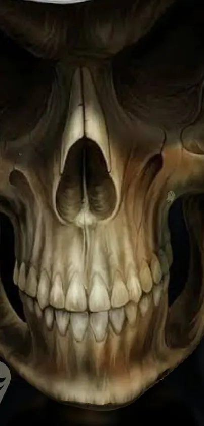 Dark skull wallpaper with shadowy details and a mysterious atmosphere.