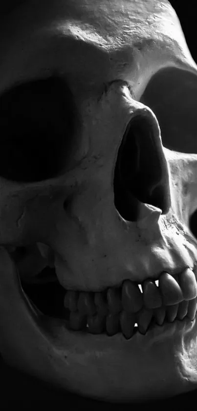 Black and white skull wallpaper for phones with dark and gothic design.