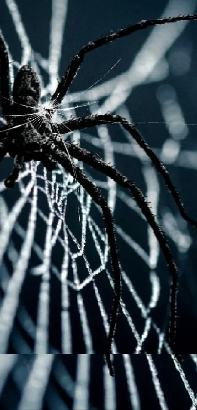 Dark spider resting on an intricately woven web against a shadowy background.