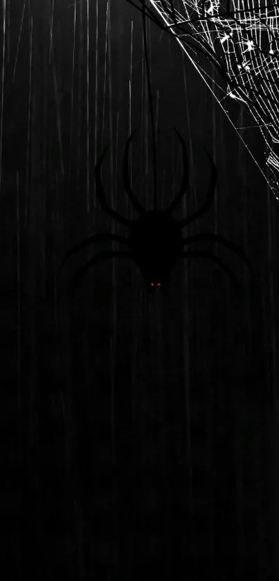 Dark wallpaper with black spider and web design.