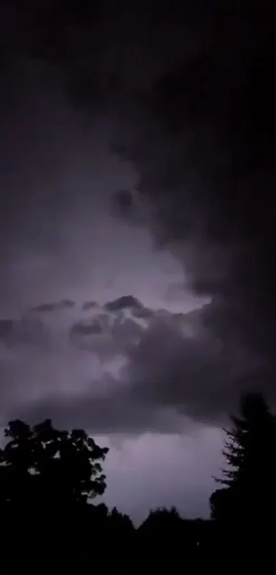 Dark stormy night with clouds and trees, creating an eerie and captivating scene.