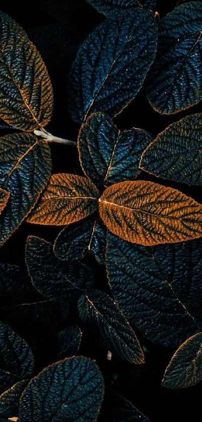 Dark textured leaf wallpaper with intricate, vibrant patterns for mobile devices.