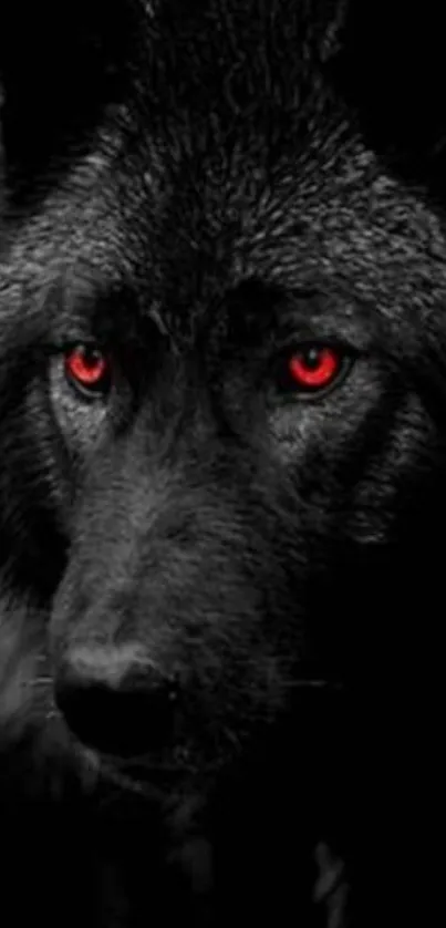 Black wolf with red eyes in dark wallpaper.