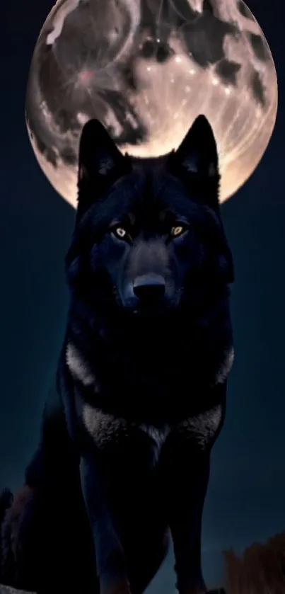 Shadowy wolf against a full moon backdrop in a dark night scene.