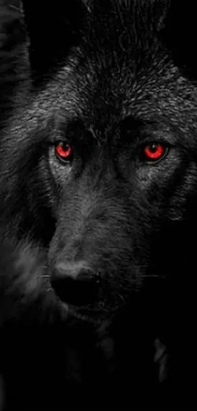 Dark wolf with glowing red eyes.