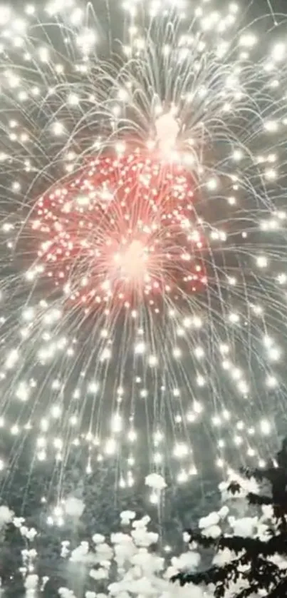 Vibrant fireworks lighting up the night sky with red and white bursts.