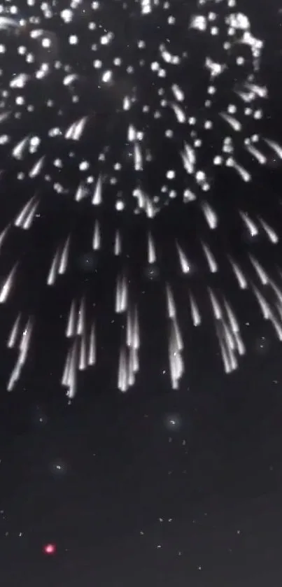 Stunning fireworks show with dark night sky backdrop.