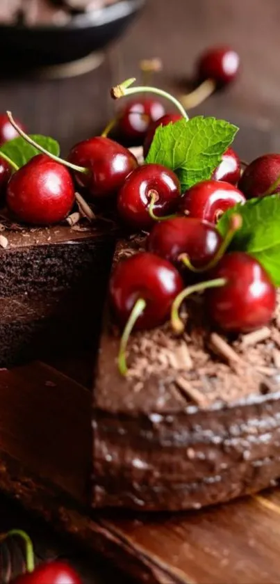 A luscious chocolate cake topped with fresh cherries and mint leaves.