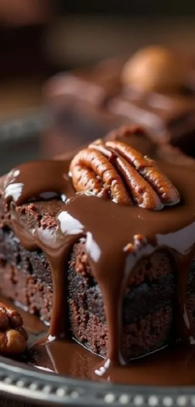 Close-up of a decadent chocolate cake with pecans.