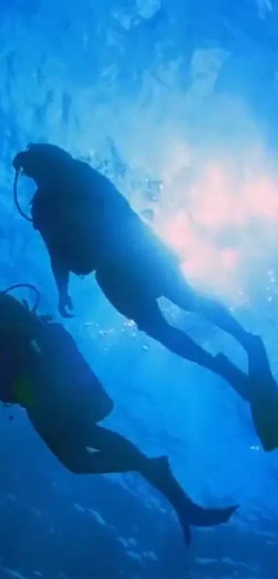 Two divers exploring the vibrant blue ocean depths.