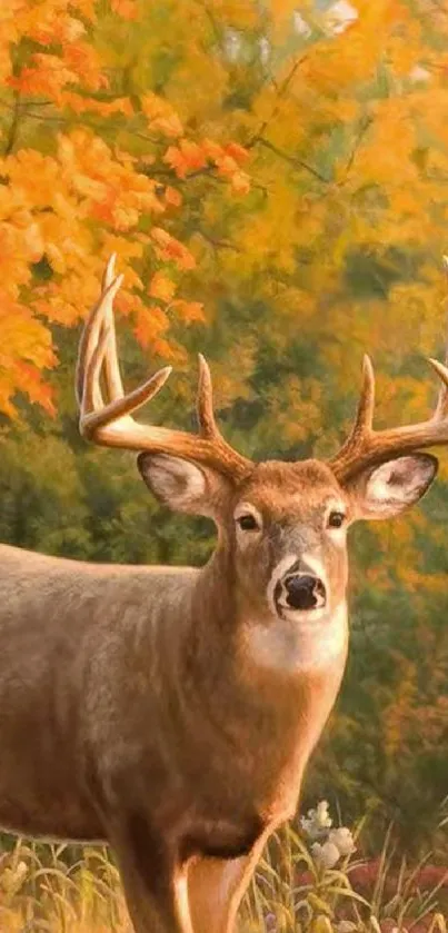 Majestic deer in vibrant autumn forest wallpaper.