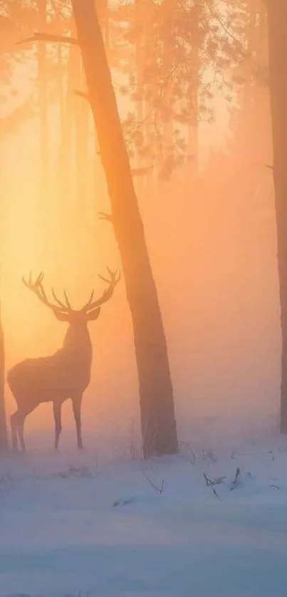 Deer silhouette in a misty forest at sunrise, creating a tranquil scene.