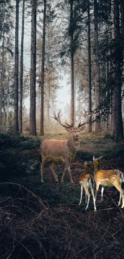 Deer and fawns in a mystical forest setting.