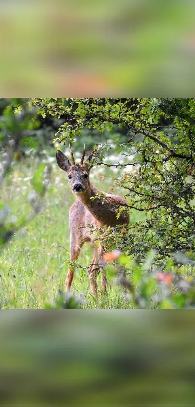 A serene forest scene with a deer surrounded by lush greenery and wildflowers.