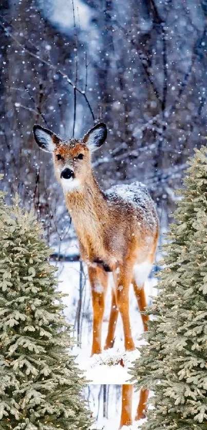 Deer in a snowy forest wallpaper with trees and snowflakes.