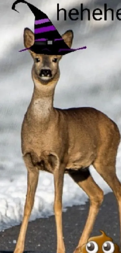 Deer in snowy landscape crossing a road with one wearing a hat.