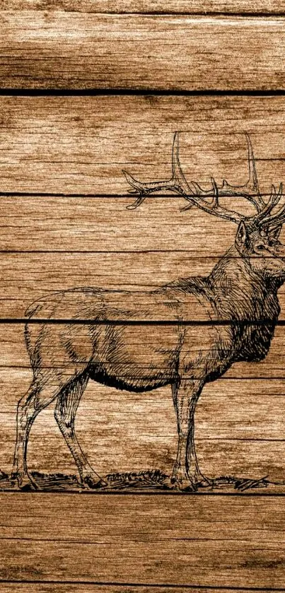 Deer sketch on rustic wooden background wallpaper.