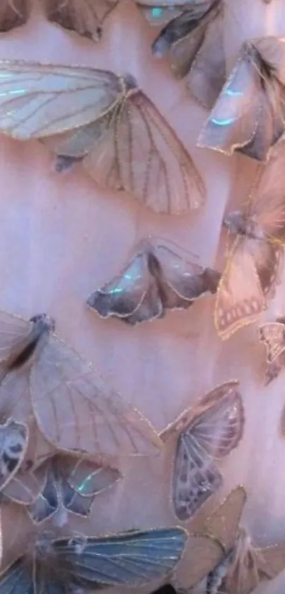 Delicate butterflies with pale tones on wallpaper.