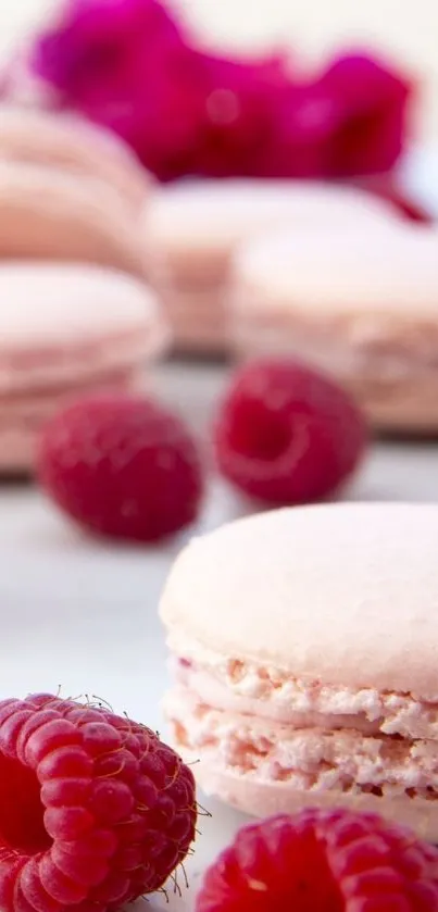 Elegant pink macarons with raspberries on white background.