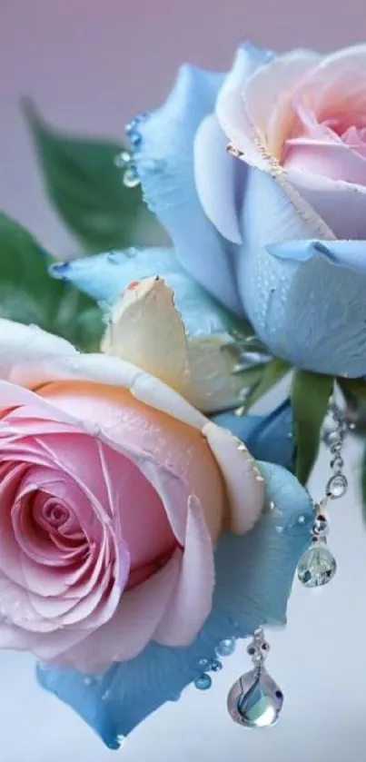 Elegant roses with dew drops in a serene mobile wallpaper.