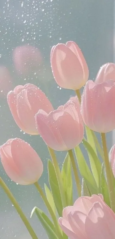 Delicate pink tulips by a softly lit window.