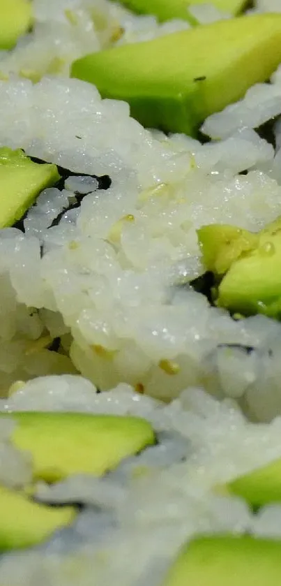 Close-up of avocado sushi rolls featuring rice and fresh avocado.