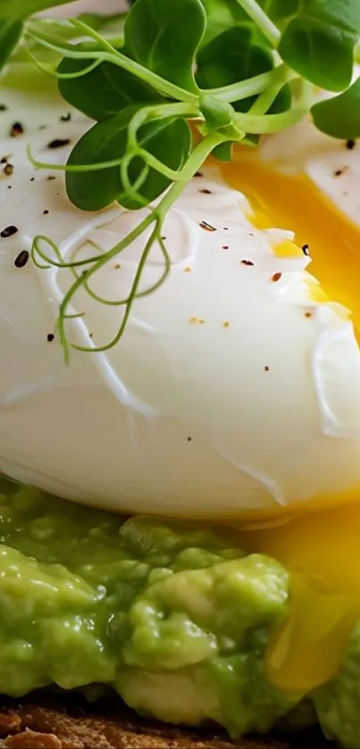 Close-up of avocado toast with poached eggs and greens.