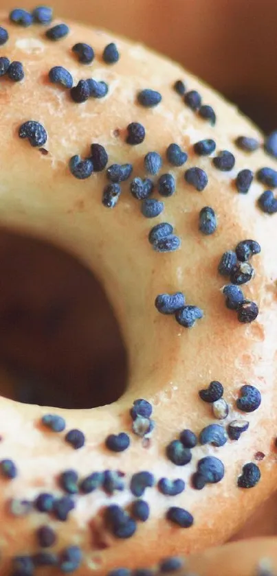 Close-up of fresh poppy seed bagels.