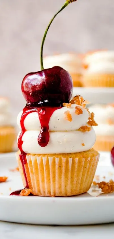 Cupcake wallpaper with cherry topping and creamy frosting.